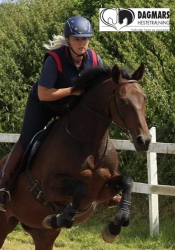 Dagmar Wilhelmsen Dagmars Hestetræning